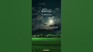 بدر التركي #ارح_سمعك #بر_الوالدين #الأم #الأب #رمضان #الحج #الصلاة #قرآن_كريم #تلاوة_خاشعة