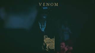 Rema At Venom Club Visual Verse Studio