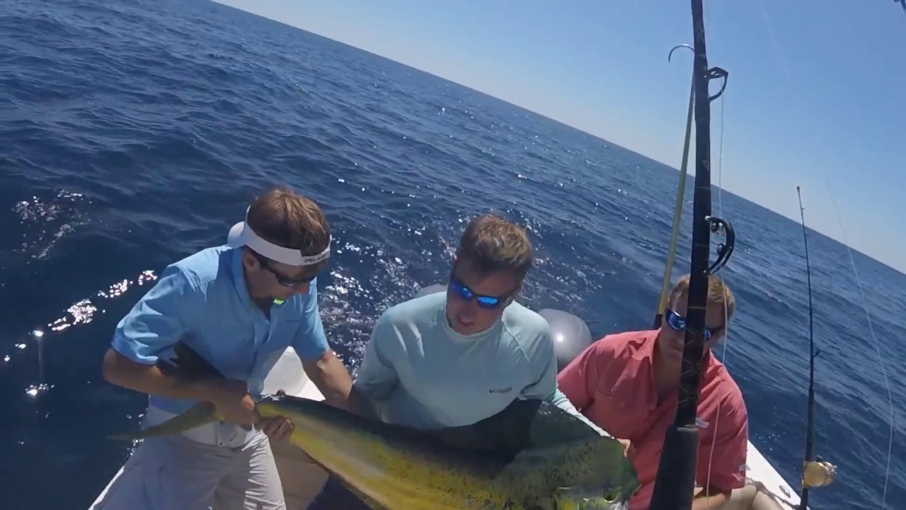 Reel Estate "BooYall Baby Mahi Mahi" May 8, 2017 YouTube