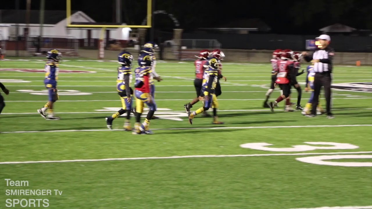 💪Montgomery Cougars Crikets & Termites🏈 2019 Championship!