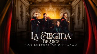 Los Buitres De Culiacán Sinaloa - La Elegida De Dios
