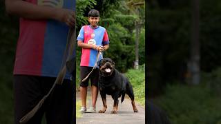 Indian Champion Crispy Timit Tor