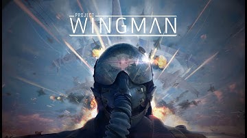 Project Wingman Mission 1: Black Flag Mercenary Difficulty        No Commentary PW.MK1 campaign