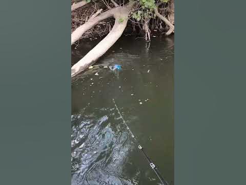 Fishing With A Kyogre Lure 