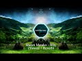Shawn Mendes Why Slowed Reverb mp3