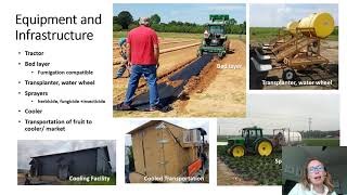 Part 1 | Annual Plasticulture Strawberry Basics & Crop Development