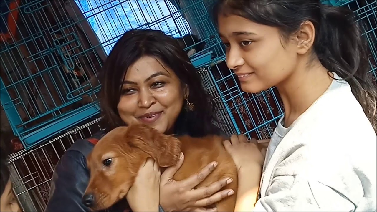 Happy Family With Their New Furry Friend At Galiff street