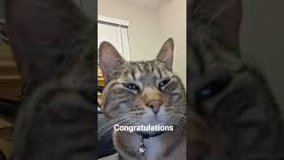 congratulations #⃣tssb #subscribe #youtubeshorts #cat #whowillbemylifepartnerta #funny