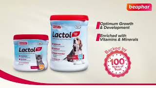 Beaphar Lactol Newborn Pets Milk Food With Dha, Vitamins Minerals, Pets Milk Replacer