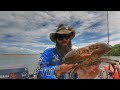 Catching Mud Crabs In a Land Locked Creek