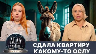 видео: Дела судебные с Николаем Бурделовым. Деньги верните! Эфир от 28.03.25 картинка: Дела судебные с Николаем Бурделовым. Деньги верните! Эфир от 28.03.25