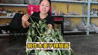 公公從山上摘回來一大把木薑子，三嫂把它做一鍋辣椒醬，太下飯了【農人家三嫂】