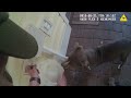 Stolen puppies recovered: 5/21/19