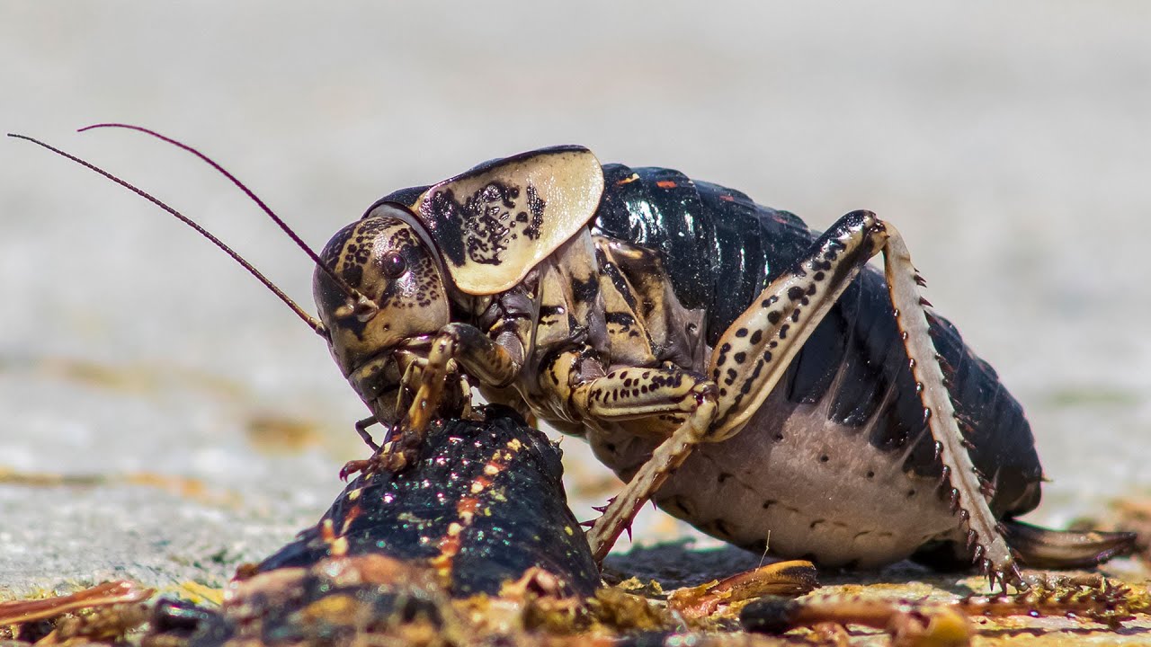 Koz yoshlarigacha eshakda sikildi Uy qurilishi rus pornosi doimiy ravishda yangilanadi.