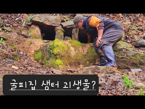 골피집 샘터 설걷이 대청소  하다가 흐물 물커덩 괴생물 놈의 정체궁금?