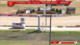 Vidéo de la course PMU PREMIO CAMALEON