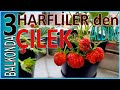 🍓 Balkon da Çilek -:- 3 Harfli marketten  Aldım :-)