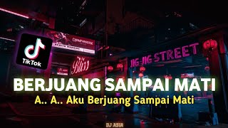 DJ BERJUANG SAMPAI MATI - AA AKU BERJUANG SAMPAI MATI REMIX VIRAL TIKTOK TERBARU 2024