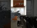 Fatal Funnel … Like shooting fish in a barrel 🤣😜 #armareforger #pvp #ps5 #gaming #squadwipe