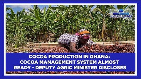 Cocoa production in Ghana: Cocoa management system almost ready - Deputy Agric Minister discloses
