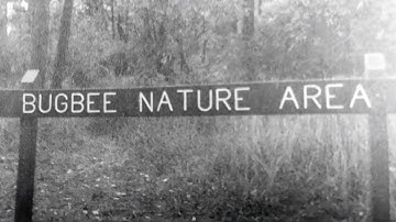 Who IS Henry Bugbee | James Hatley