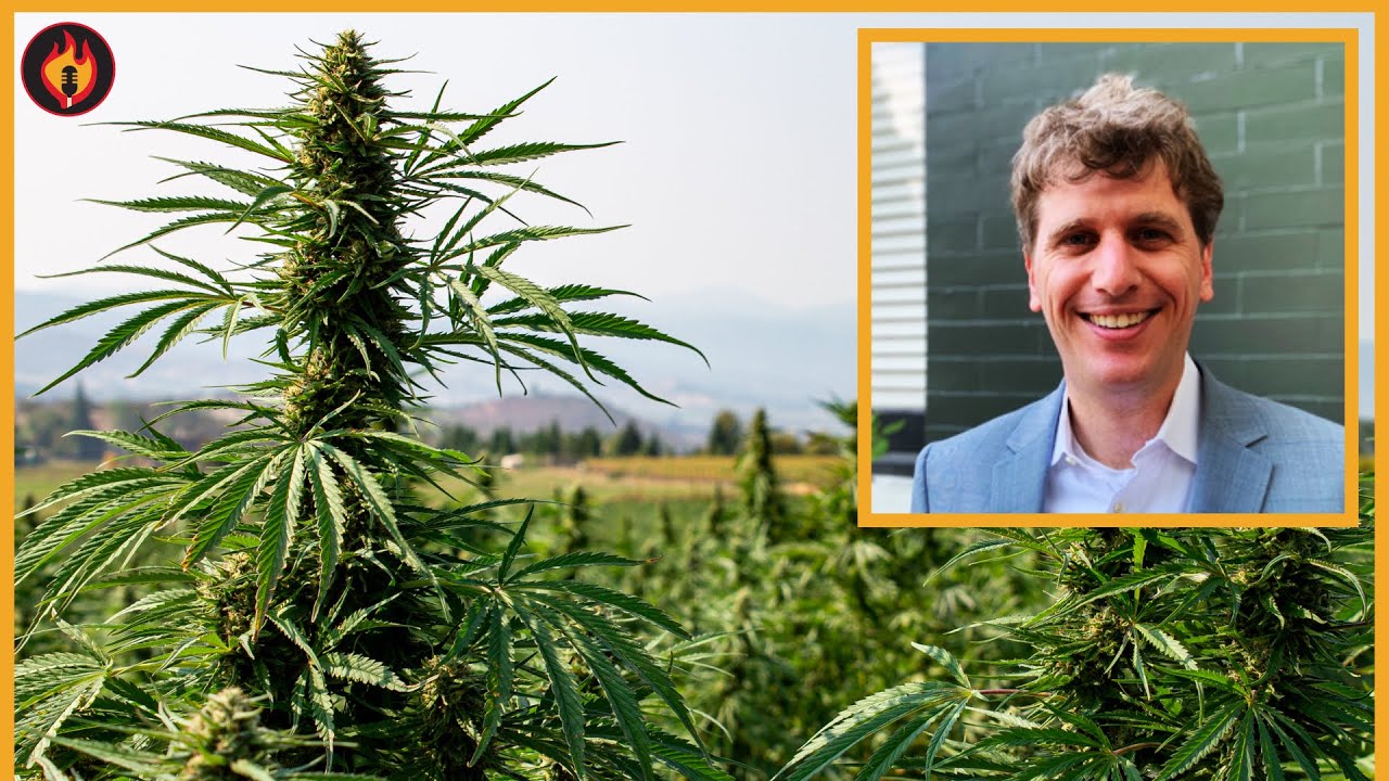 How Big Business is Trying to RIG Legal Weed Market | Breaking Points with Krystal and Saagar