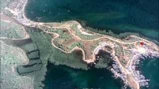 naga laut sulawesi