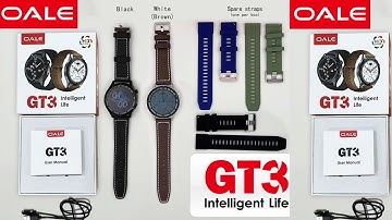 Watch GT 3 1.43 Inch (46 mm) Display Grey Smart Watch