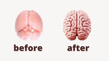 5 Simple Brain Exercises to Boost Your Brain Power and Focus