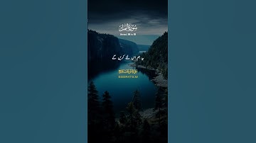 Surah-Al-Naml(سورة النمل)ayat(80-85) beautiful 🥰🤗urdu tarjuma🤲🕋🤲 #quranalkareem #ramzanmubarake