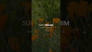 Enter the Home of Eternal Peace | Surah Ibrahim 23 | Ahmad AlNufais | أحمد النفيس