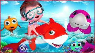 Bingo School Class Dog Song , Baby Shark Song  , ABC | Most Viewed Video on YouTube | Banana Cartoon