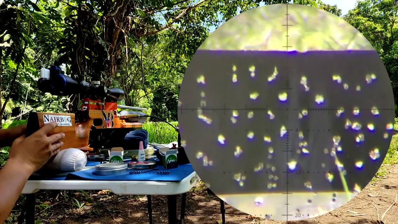 NB-047  demo at 30&50 yards with Astro and JSB (Butch)