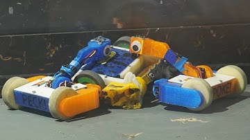 Putting Up A Fight With The Power Of Friendship! (RCE September 2025 Event Report)