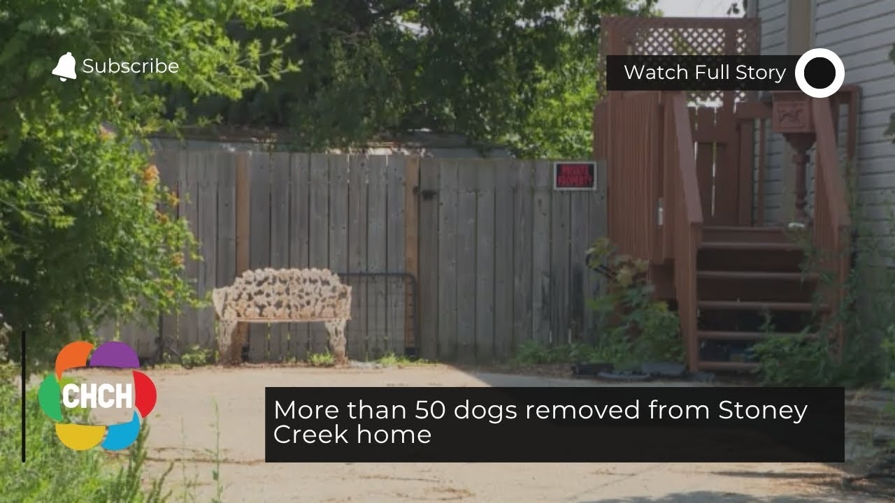 More than 50 dogs removed from Stoney Creek home - YouTube