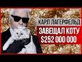 МИЛЛИОНЫ для кошки ЛАГЕРФЕЛЬДА #знаменитости #карллагерфельд