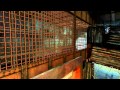 Mob of the Dead Trailer - Official Call of Duty: Black Ops 2 Video
