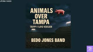 Animals Over Tampa – Trippy Floyd Version (1977 Concert Memory | Bedo Jones Band) screenshot 1