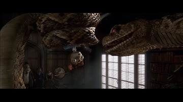 “Where do you think I come from?” Rango