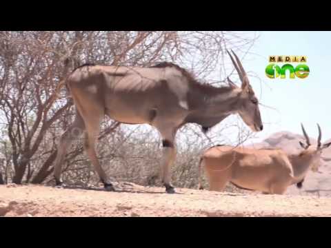 Weekend Arabia |Forest Safari recreated in Al Ain (Epi160 Part2)