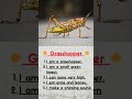 Grasshopper 🦗 |  5 Sentences Speaking Practice | Easy English   | improve English wih easy Sentences