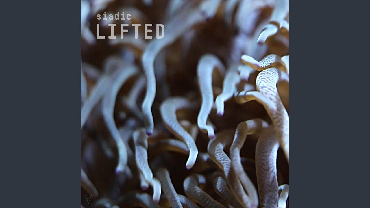 Watch Lifted on YouTube Watch Lifted on YouTube