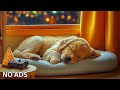 12 Hours Calming Dog Music🎵Piano Melodies for Dogs🐾Anxiety-Free Sleep &amp; Comfort💕No Ads