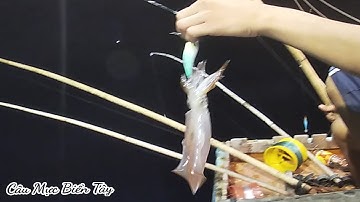 Kéo Mực Gạt Cá Rút Lưới, Buổi Cơm Vội Trong Đêm |Câu Mực Biển Tây #43