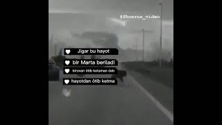 Bu xayot bir marta beriladi