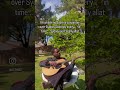 Follow 4 More #follow #guitar #dothingsyoudontwanttodo #music #theothersideofmakebelieve #follow