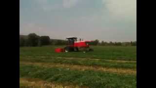 Hesston by Massey Ferguson WR9770 Swather Demo with Topcon Auto Steering