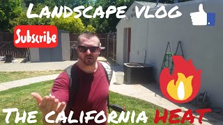 Landscape vlog - the california heat is ...