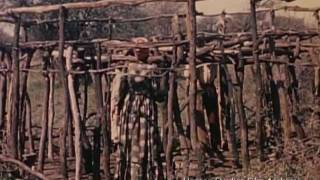 Herero of Ngamiland (1953)