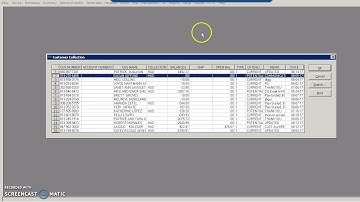 Customer Collection (Aging Report)